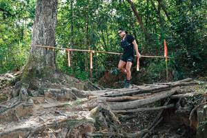 BIB: 
                            <button type="button" onclick="openModal(27804335)" class="btn btn-primary btn-sm float-right btn-popup" data-toggle="modal" data-target=".modal-high-quality">
                        <i class="fas fa-shopping-cart"></i> Add to Cart
                    </button>
                                            <button type="button" onclick="isThisMe(27804335, true)" class="btn btn-success btn-sm float-right btn-popup btn-isme hidden" data-toggle="tooltip" data-placement="bottom" title="นี่คือรูปของคุณใช่ไหม คลิกที่นี่เพื่อเอาเข้าอัลบั้ม">
                        <i class="fas fa-plus"></i> Add to album
                    </button>
                    <button type="button" onclick="isThisMe(27804335, false)" class="btn btn-warning btn-sm float-right btn-popup btn-isnotme hidden">
                        <i class="fas fa-ban"></i> Remove from album
                    </button>